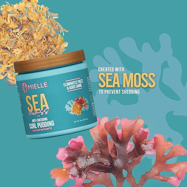 MIELLE ORGANICS SEA MOSS ANTI-SHEDDING CURL PUDDING