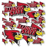 Desert Cactus Illinois State University Sticker Illinois State Redbirds Vinyl Decal Laptop Water Bottle Car Scrapbook Sheet (Type 1-1)
