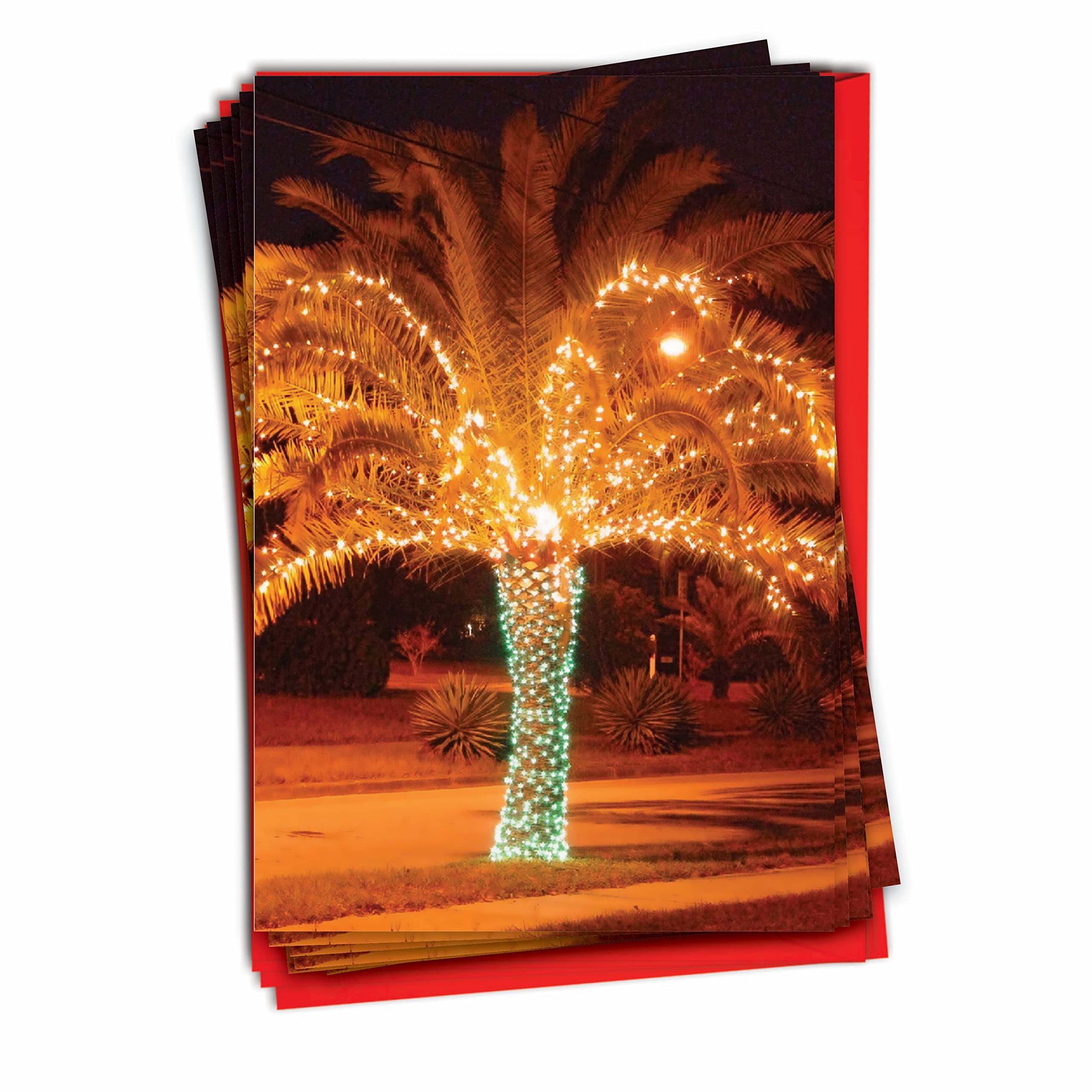 The Best Card Company - 12 Boxed Christmas Greeting Cards (1 Design, 12 Cards) - Tropical Beach and Vacation Holidays, Bulk Set - Holiday Palms B3273AXSG