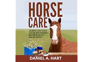 Horse Care: A Beginner’s Guide to Breed Selection, Barn Requirements, Daily Routine, and Safe Handling Practices