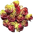 Fresh Cut Tinted Red and Yellow Roses from Flower Explosion -12 Stems for Mother's Day