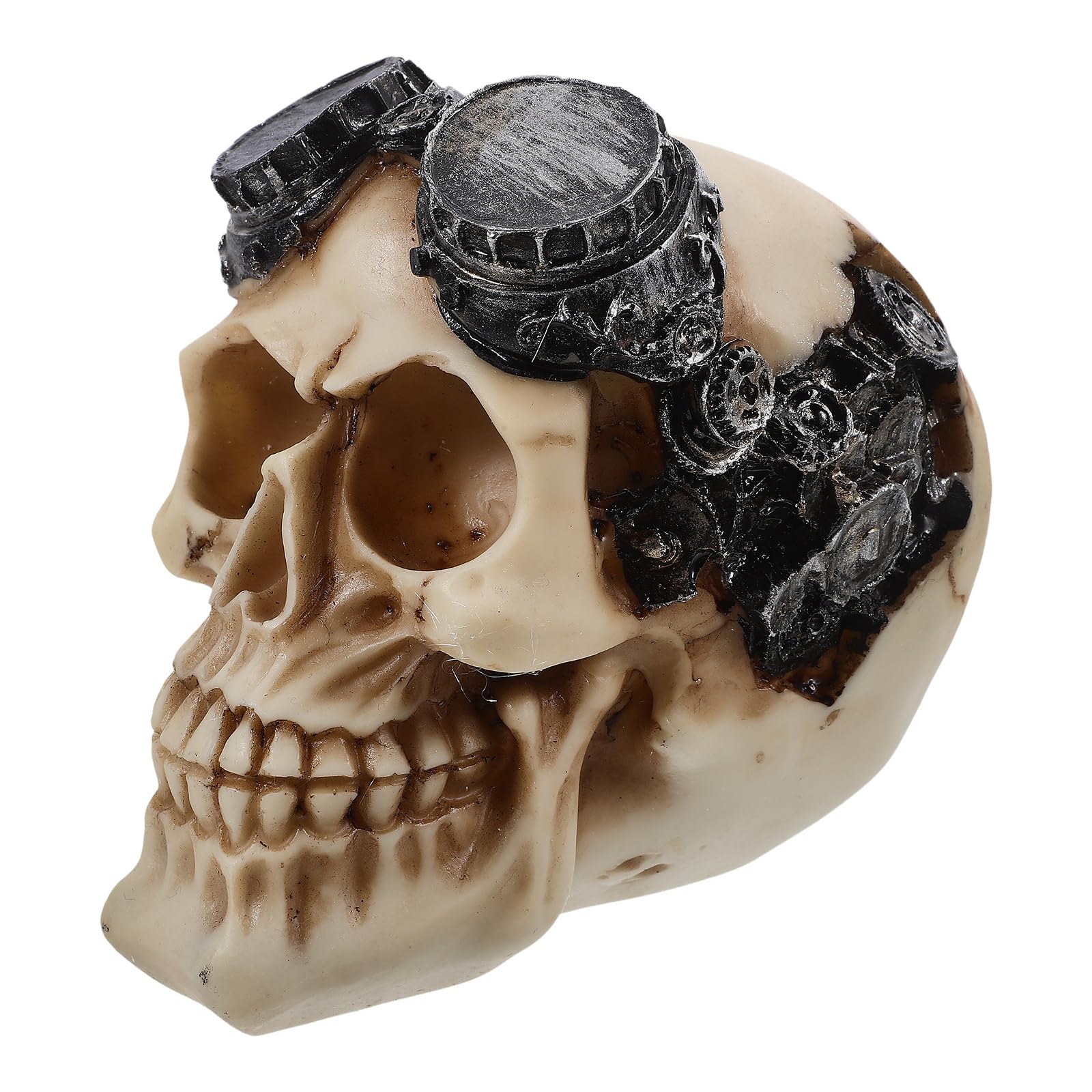 Amosfun Life Size Skeleton Halloween Skull Head Ornaments Halloween Horrible Skull Realistic Human Skull Head Bone Model