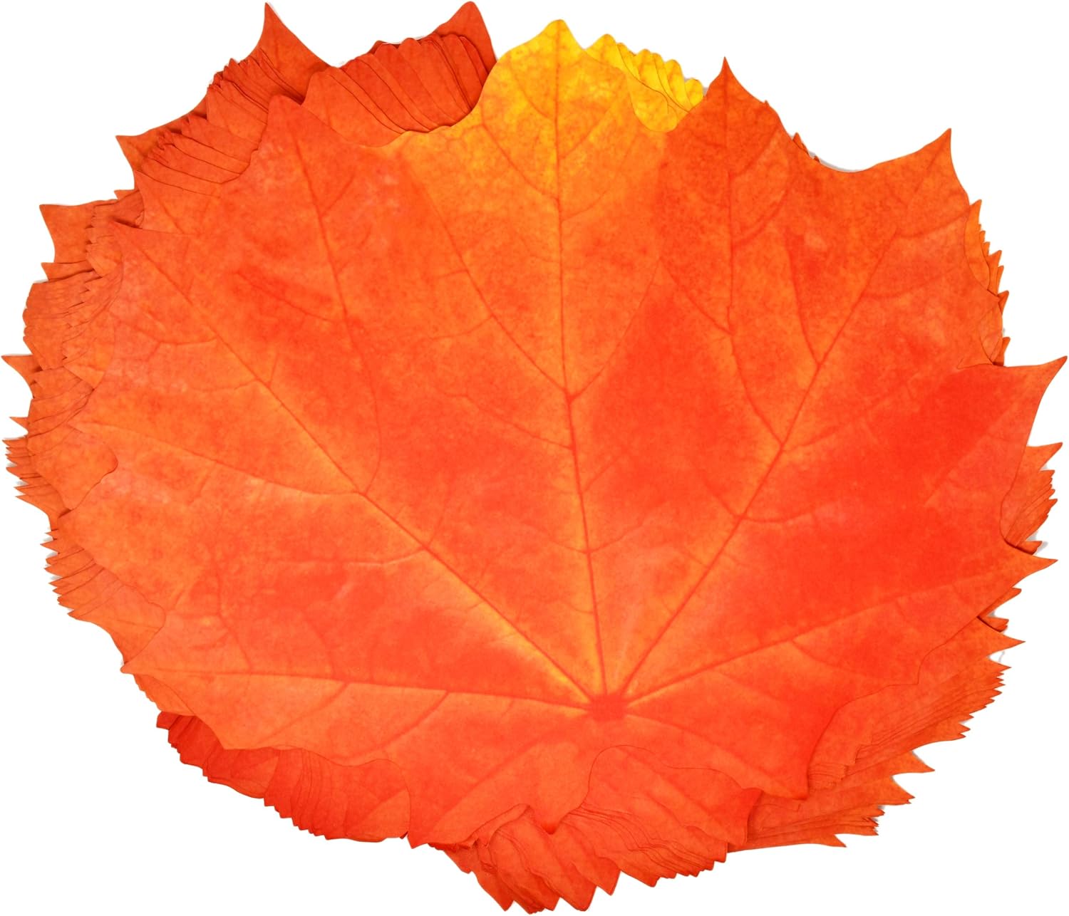 Paper Harvest Leaf Placemats 48 Pack Orange Color Thanksgiving Autumn Maple Leaves Shaped Chargers Place Mats 12" x 16" Fall Turkey Crafts Dinner Party Table Decorations by Gift Boutique: Kitchen & Dining