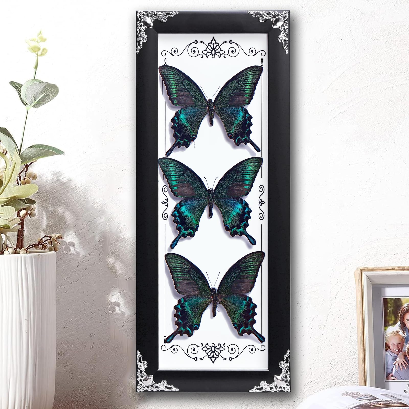 Photo 1 of ***(MINOR DAMAGE)***Framed 3 Real Butterfly Gothic Decor, 15.2"X6.5" Taxidermy Butterfly Shadow Box Wall Decor, Framed Butterfly Taxidermy for Witchy Home Decor