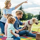 Vinsani Foldable Picnic Blanket 260x220cm Waterproof Sand Proof Outdoor Rug view 2