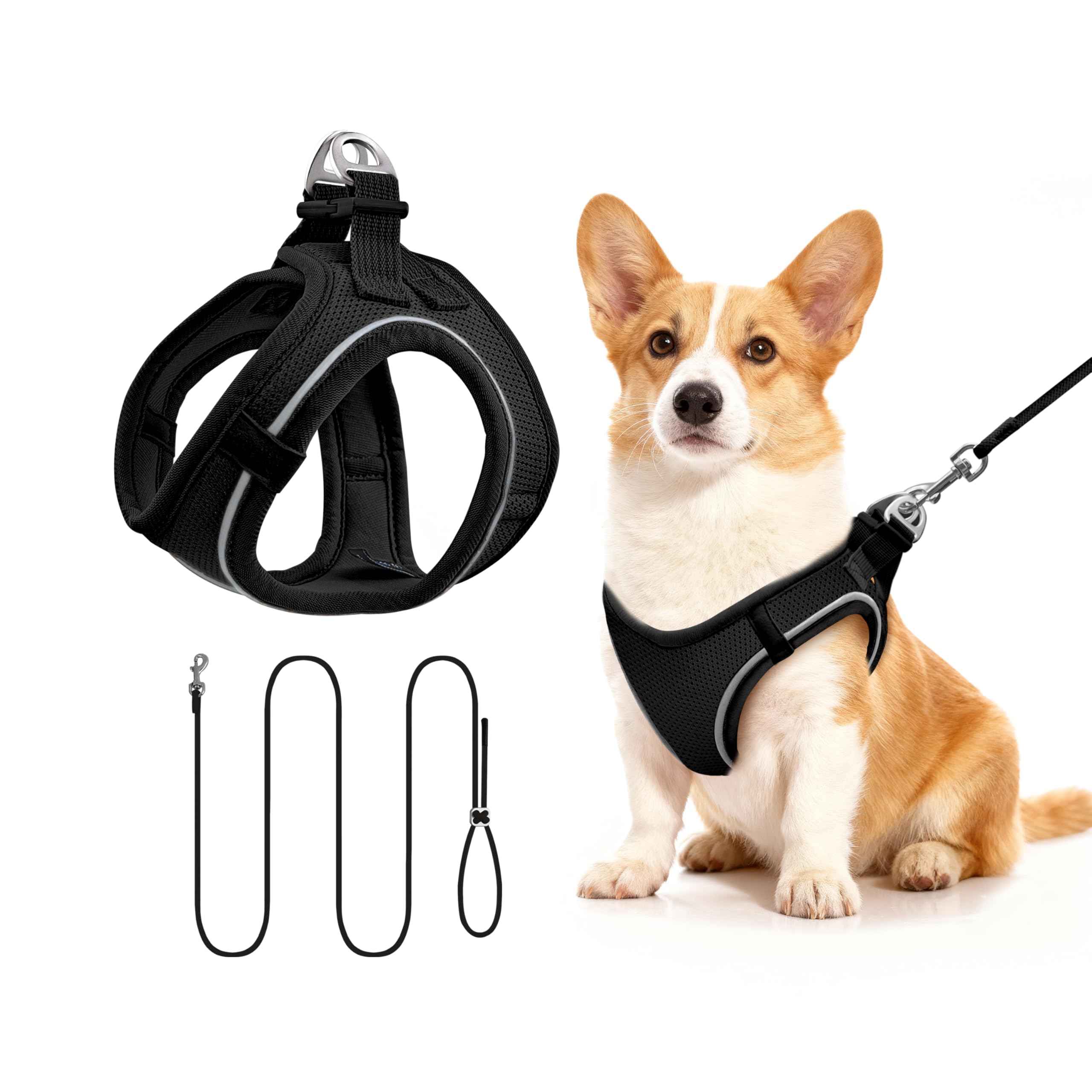 Qianruida Reflective Cat Harness with Lead - Adjustable for Small to Medium Cats (Black)