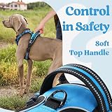 rabbitgoo Dog Harness Medium Front Back Clip Reflective Sky Blue M view 6