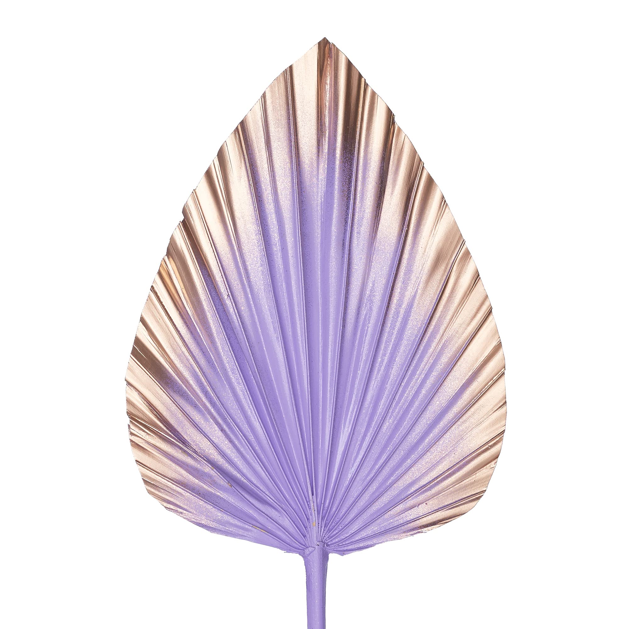 The Baked Studio - Dried Palm Leaf Leaves Palm Spear Cake Topper for Cake Decoration (Lilac & Gold Ombre)