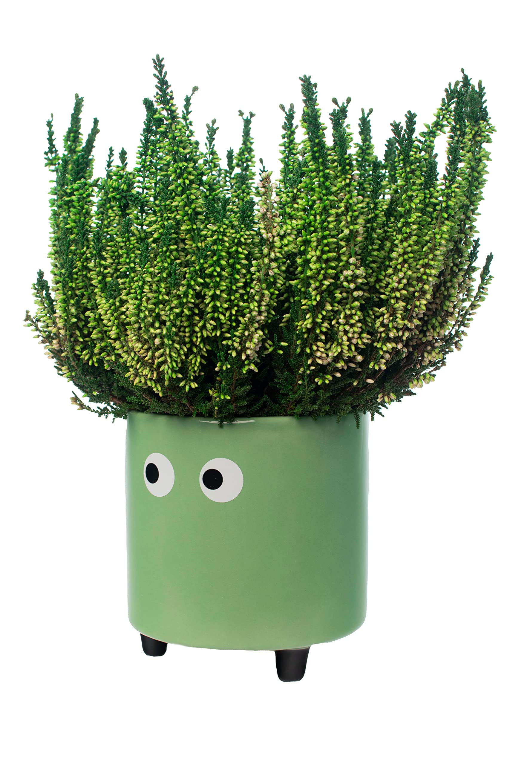 Fisura - Original Flower pots "Eyes Design", Ceramic Plant pots Indoor, Decorative Indoor planters with Legs for Cactus, Planters for Flowers and Succulents, Dimensions: 13cm x 12,5cm (Green)