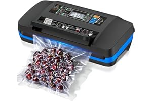 Commercial Full Automatic Vacuum Sealer Machine(Blue)