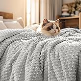 PHF Ultra Soft Flannel Fleece Blanket Queen Size, Lightweight 3D Jacquard Fleece Blanket, No Shedding, No Pilling, Luxury 340GSM Aesthetic Fluffy Cozy for Bed Room Decor, 90"x90", Light Grey