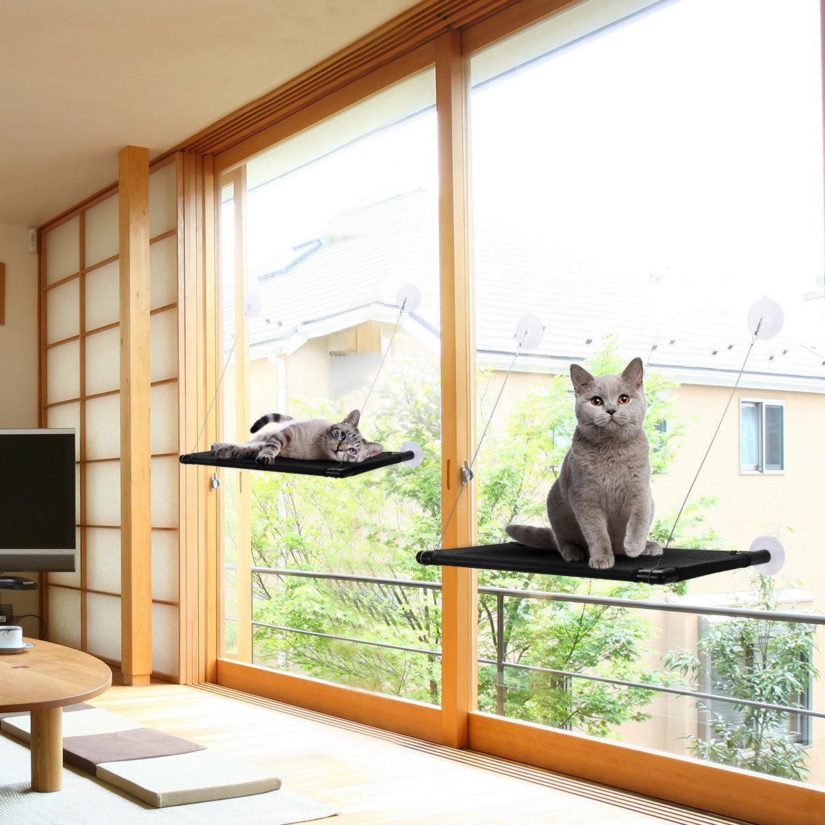 isYoung Cat Window Perch, Mounted Cat Sunshine seat Pet Hammock Kitty Bed Perch Cushion with 4 Ultra Heavy Duty Suction Cups Cat Bed Holds Up To 60lbs