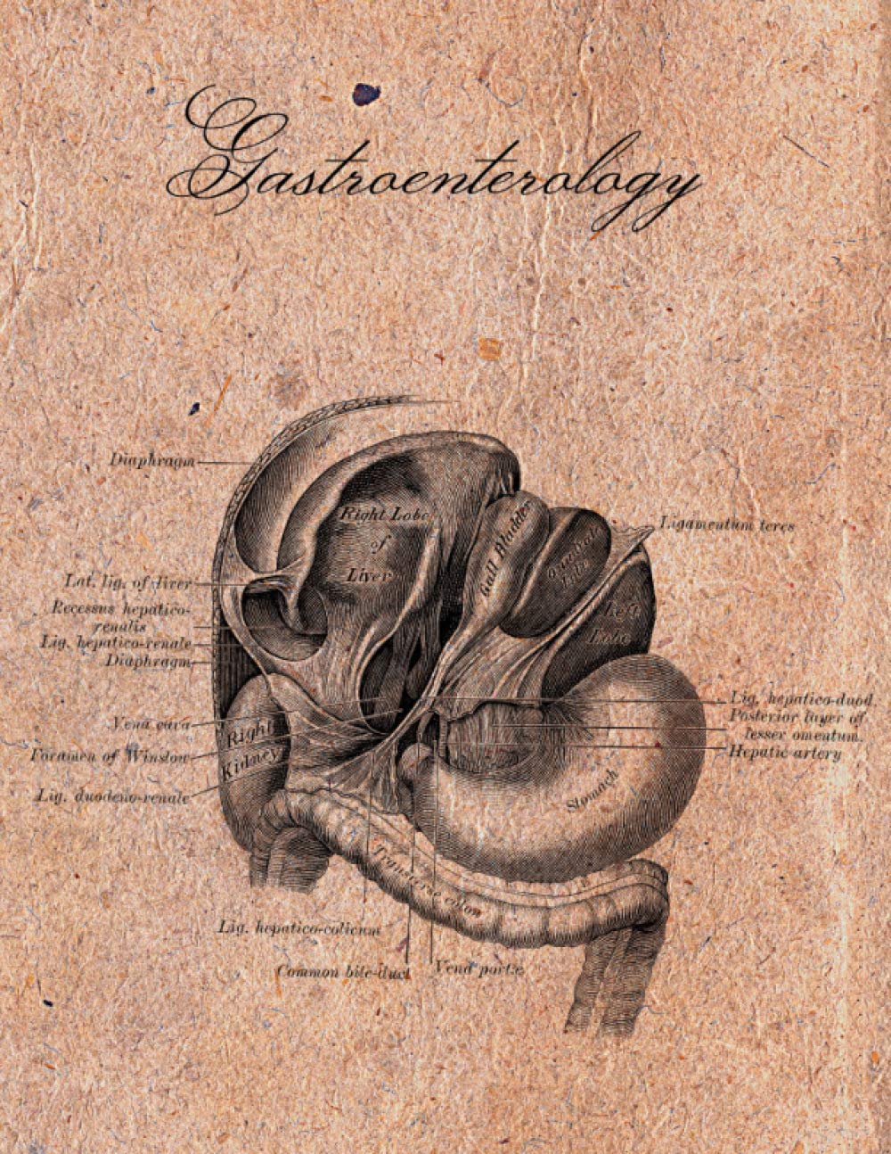 Gastroenterology Notebook: Vintage Anatomy - Digestive System, 8.5" x 11", 100 College Ruled Pages, Matte Cover