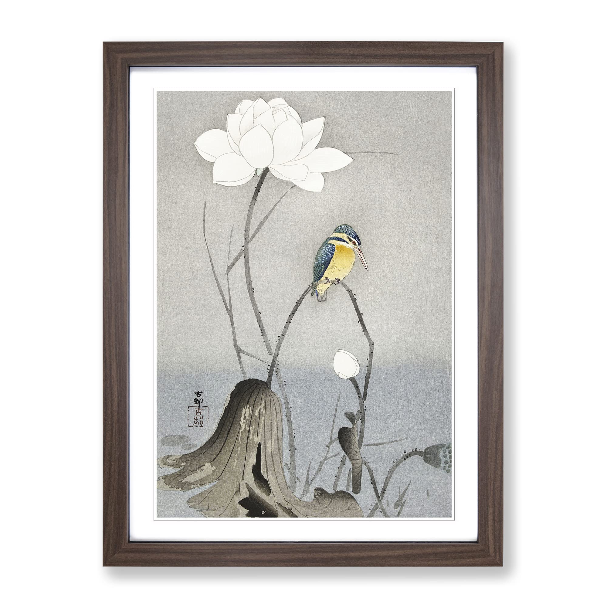 Kingfisher With Lotus Flower By Ohara Koson Asian Japanese Framed Wall Art Print, Ready to Hang Picture for Living Room Bedroom Home Office Décor, Walnut A4 (34 x 25 cm)