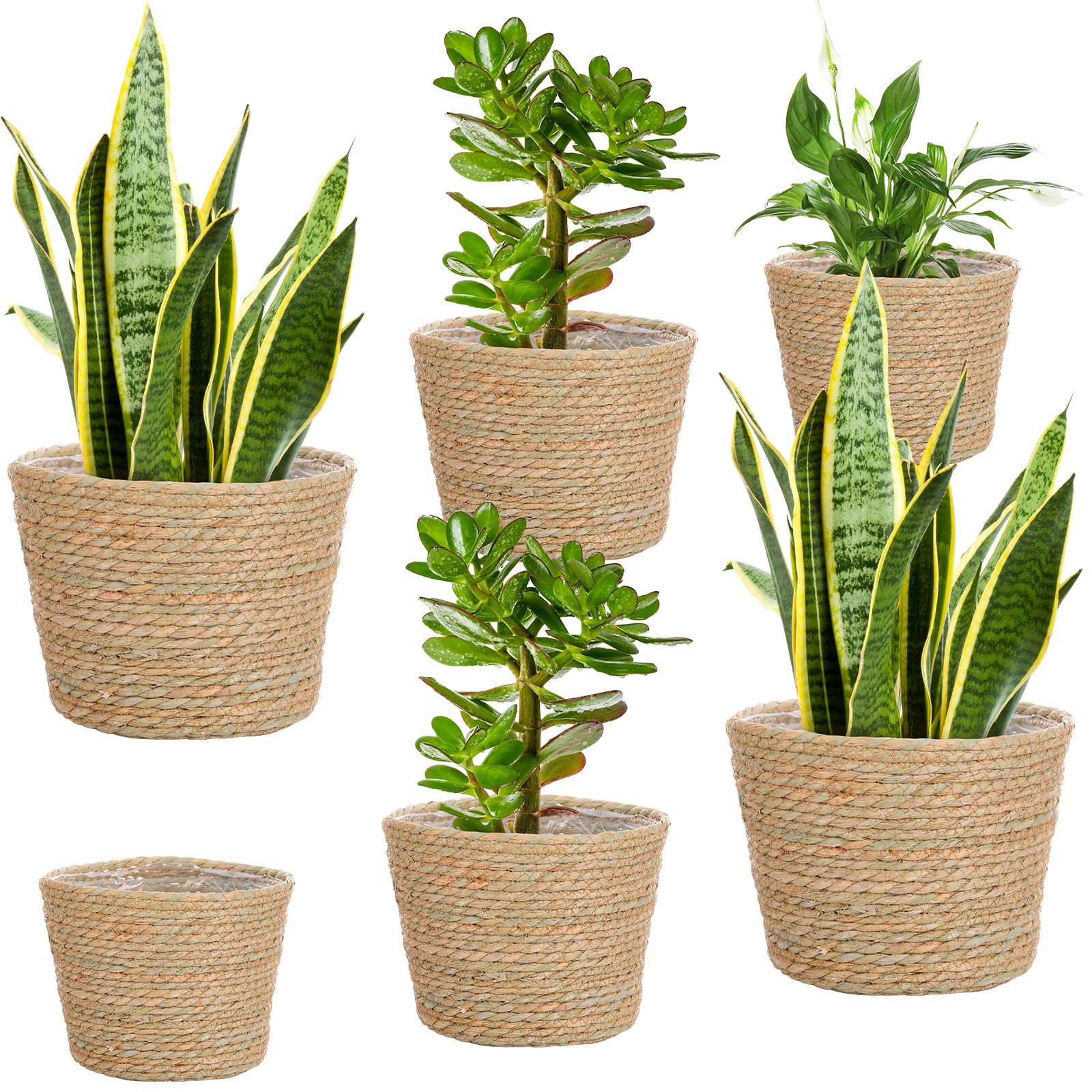 Photo 1 of Mumufy 6 Pcs Seagrass Planter Basket Flower Pots Cover Plant Baskets Hand Woven Plant Basket Storage Containers with Plastic Liners for Indoor Outdoor Flower Pots Decoration 10, 7, 8.3 Inch(Classic)