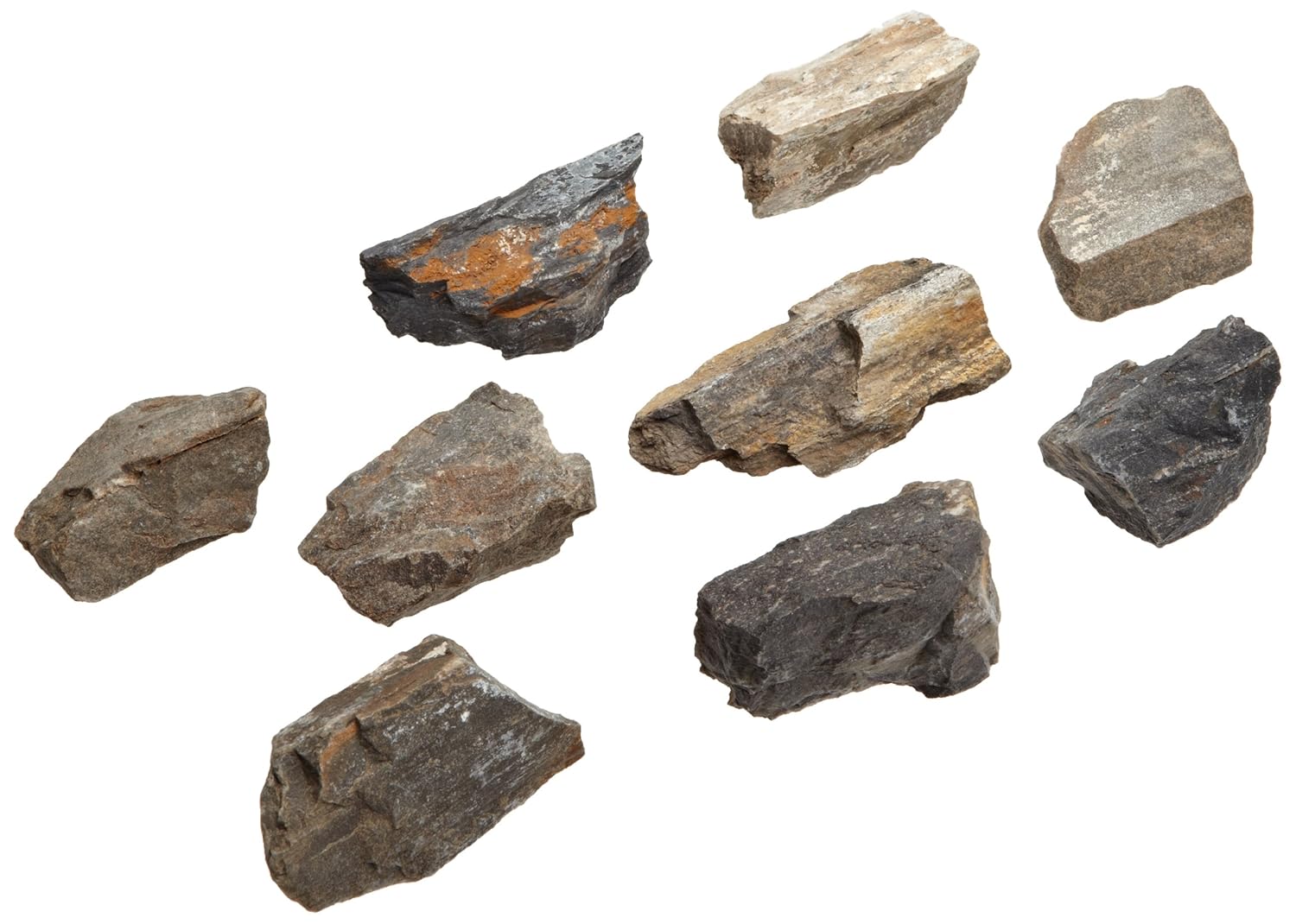 American Educational Plant Petrified Wood Fossil Pack Of 10 Science Fossils Amazon Com Industrial Scientific