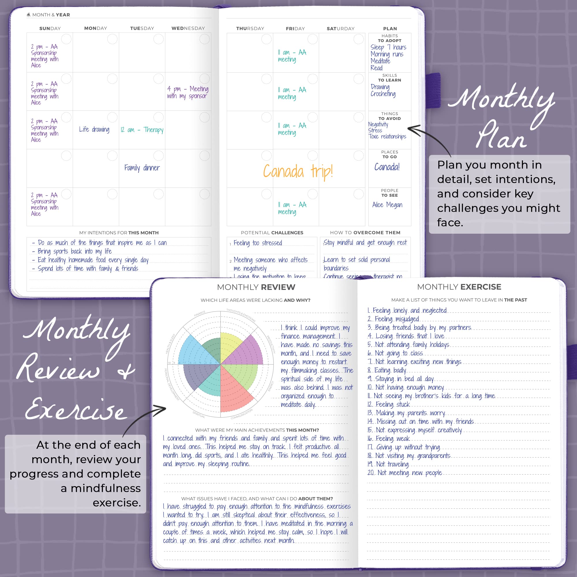 View 5