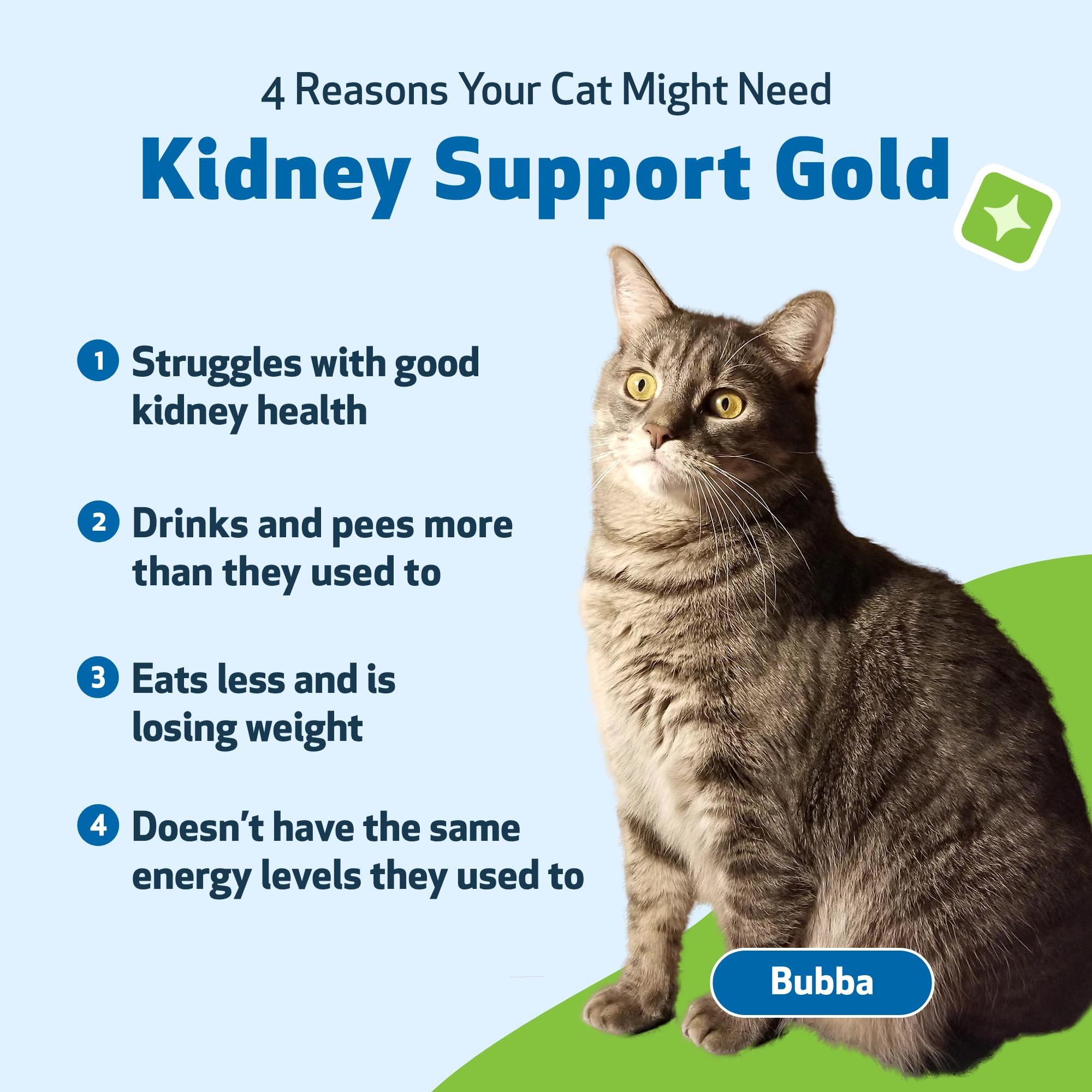 Mua Pet Wellbeing Kidney Support Gold for Cats VetFormulated