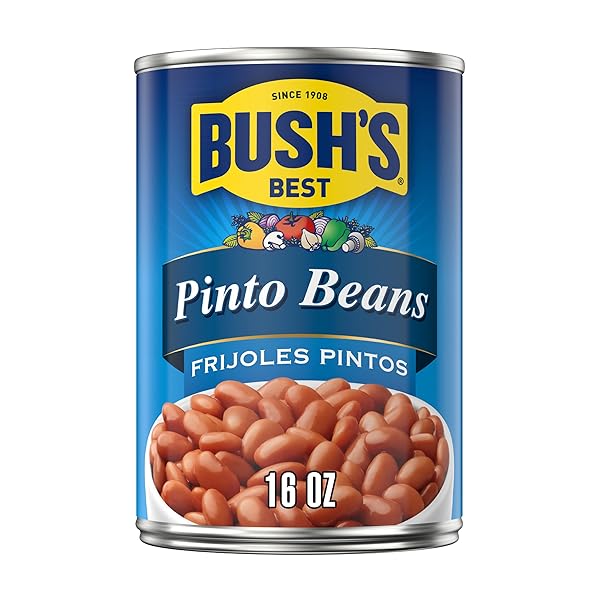BUSH’S BEST PINTO BEANS, 16 OUNCE CAN, CANNED BEANS, PINTO BEANS CANNED, SOURCE OF PLANT BASED PROTEIN AND FIBER, LOW FAT, GLUTEN FREE, FOR SOUPS, SALADS AND MORE