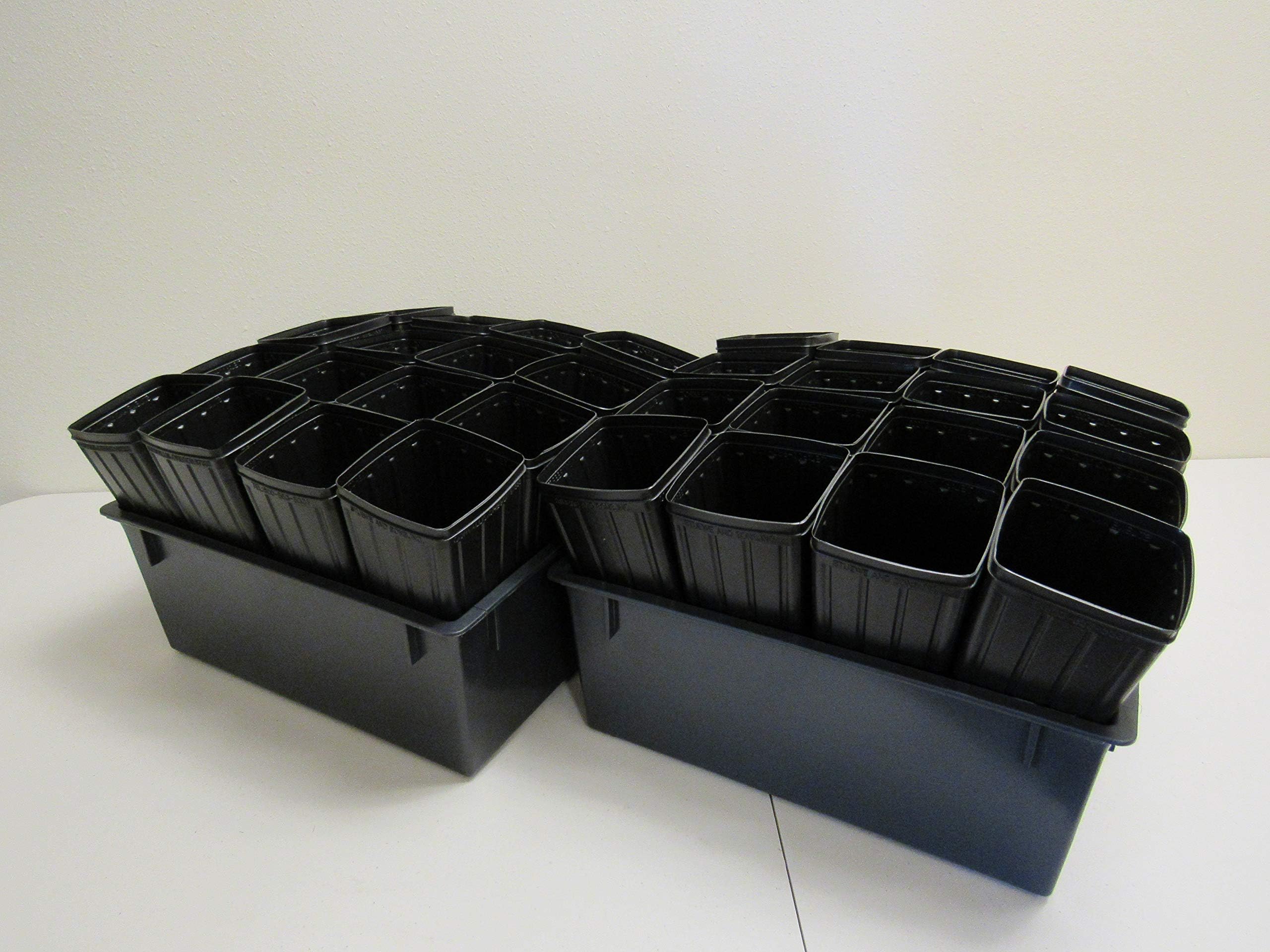 Stuewe & Sons - 2 Tree Seedling Trays (TRAY6) with 32 Mini-Treepots (TP49)