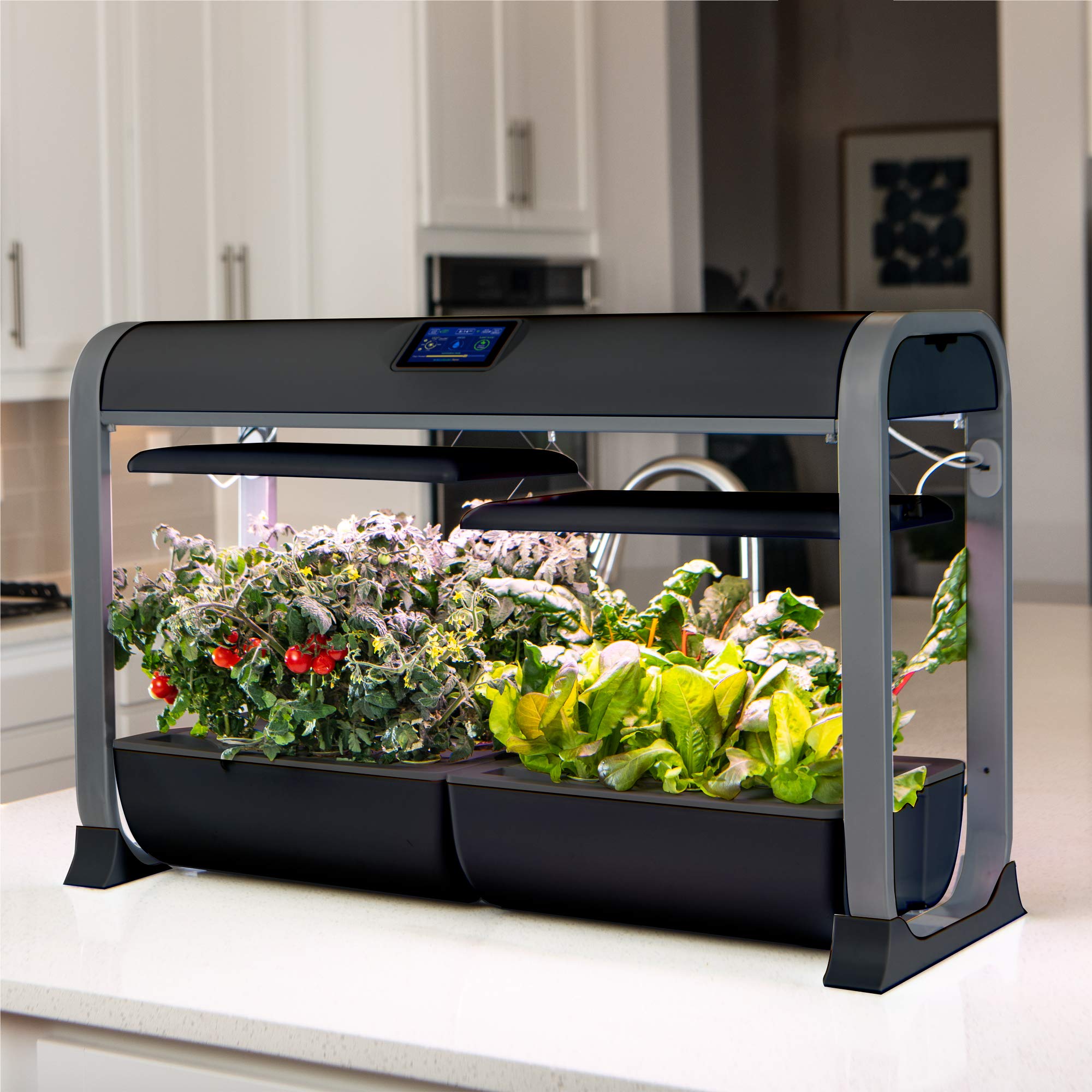 AeroGarden Farm 24Basic