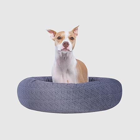 large dog bed canada