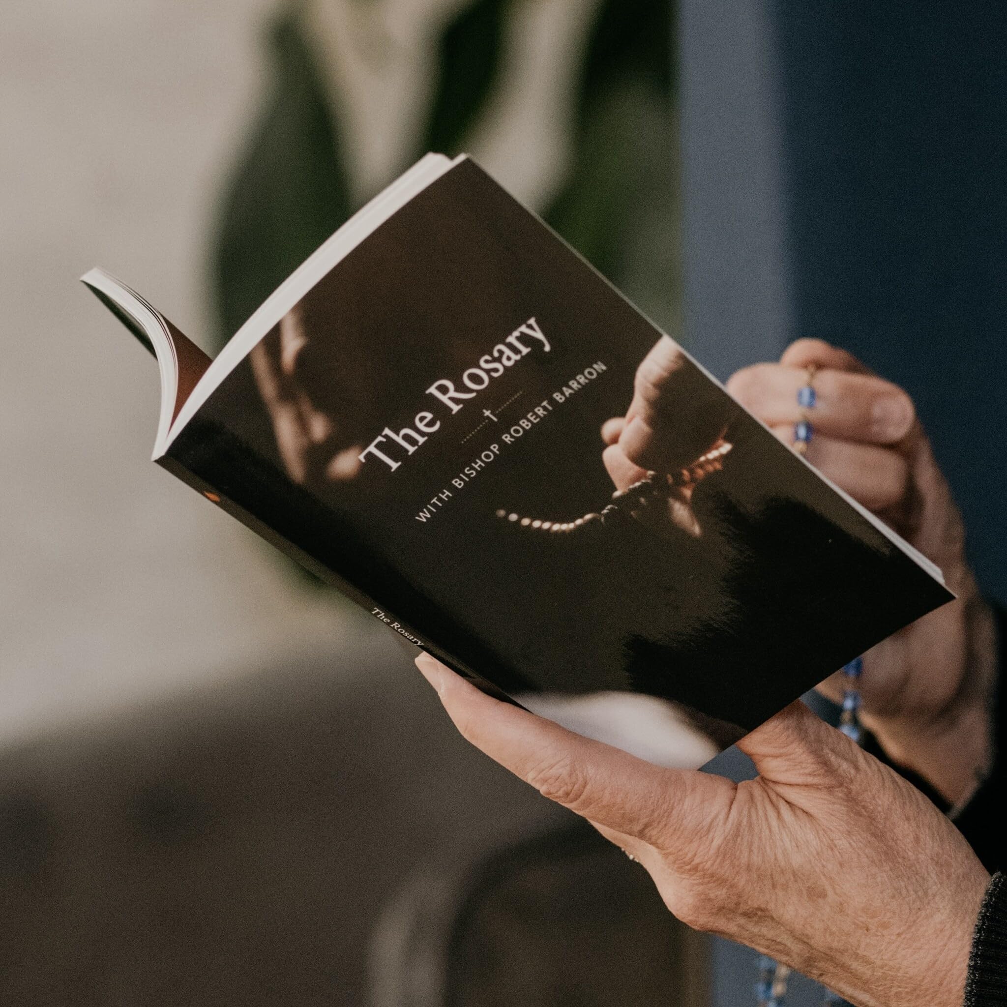 The Rosary with Bishop Barron The Rosary with Bishop Barron The Rosary with Bishop Barron Paperback