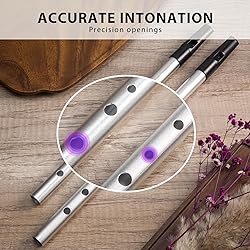 VixxNoxx Irish Tin Whistle in C Key with Music Book