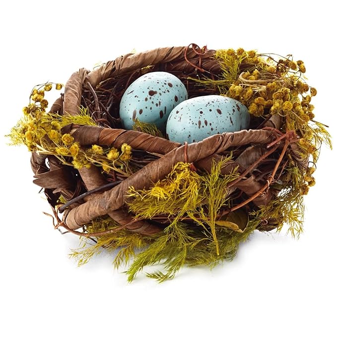 Buy Hallmark Blue Robins Eggs In Nest Decoration Decorative