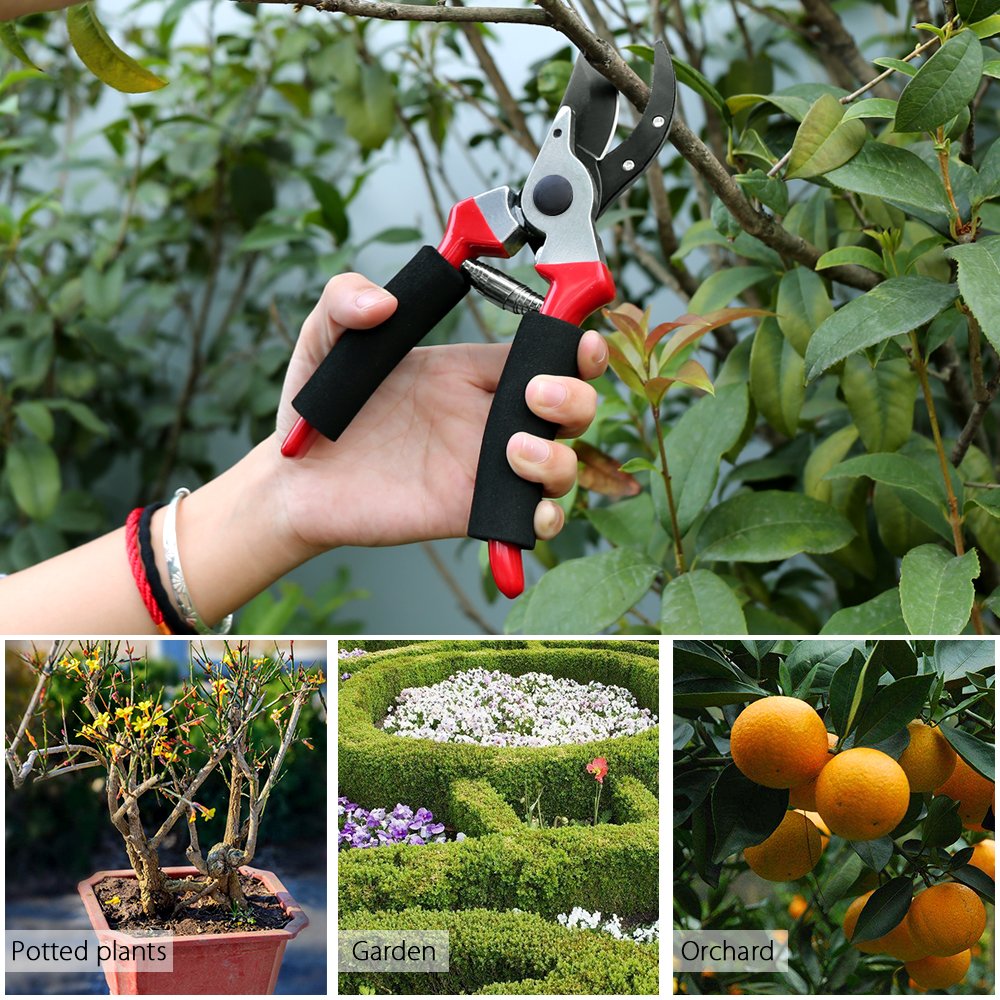 Best Hand Pruners The Best One You Can Get In 2018