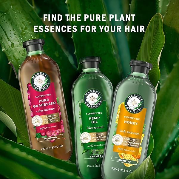 CASEETO HERBAL ESSENCES BIO:RENEW HEMP + POTENT ALOE CONDITIONER FOR FRIZZ, 600 ML