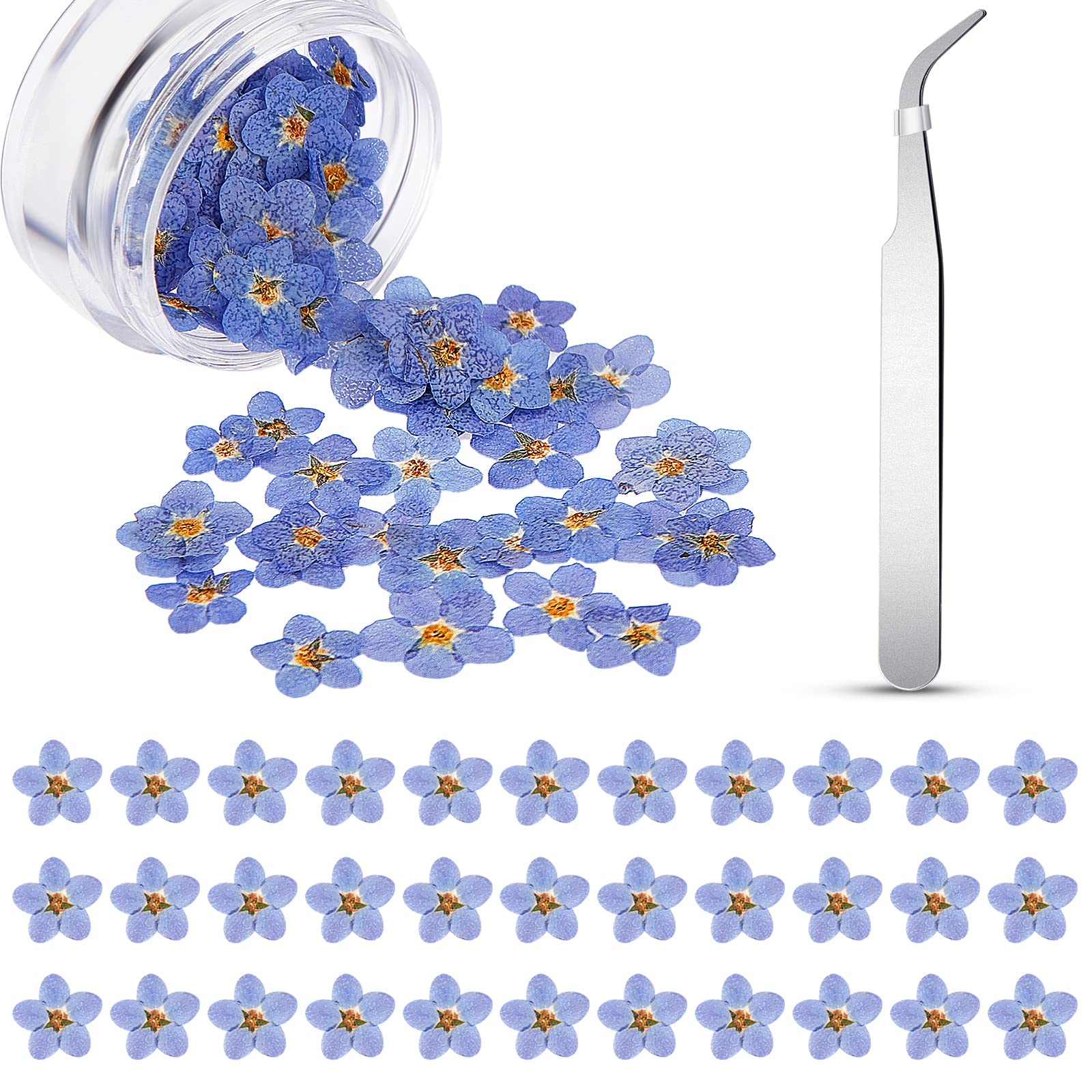 80 Pcs Natural Forget Me Not Dried Flowers Don't Forget Me Pressed Flowers Blue Dry Real Dried Pressed Flowers with Elbow Tweezers For Resin Scrapbooking DIY Jewellery Card Candle Craft Nail Decor