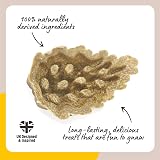 Rosewood Veggie Burst Pinecones Treats for Small Animals 6pc view 3