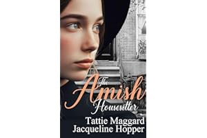 The Amish Housesitter