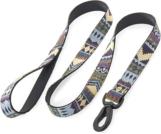 large breed dog collars and leashes