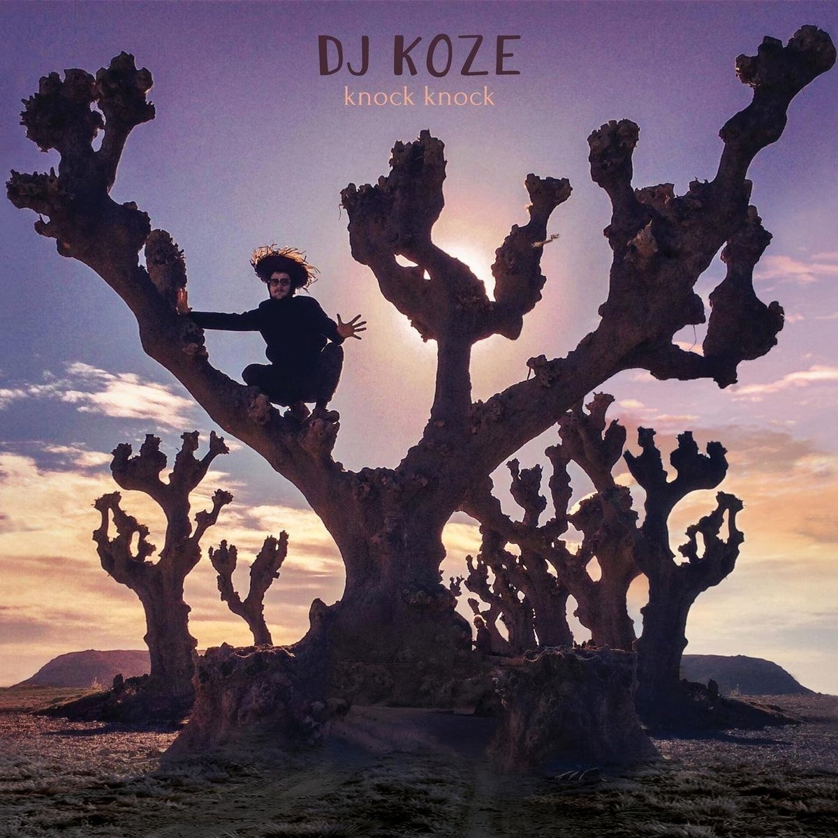 Resultado de imagen para DJ Koze-Knock Knock