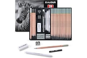 KALOUR 28 Pro Sketching Drawing Pencils Set – 14 Graphite Pencils (14B–5H), Charcoal Pencils, Erasers, Sharpener & Stumps – Complete Art Kit for Artists & Beginner