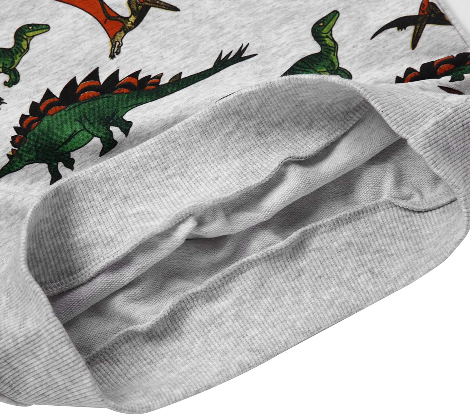 Toddler Boys Dinosaur Sweatshirts Cartoon Winter Long Sleeve Kids Sport Outdoor Pullover Tops Tees 2T-8T: Clothing