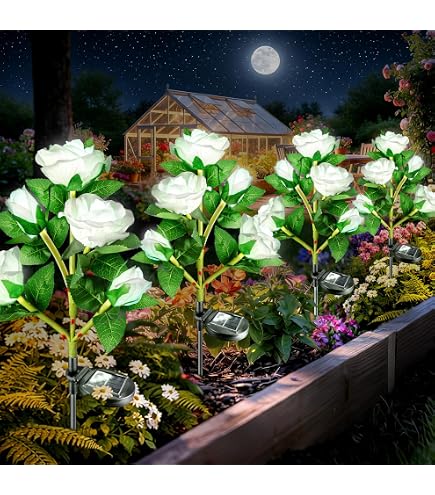  RoseGardenデイライト21.3cm6枚1990年 Amazon.com: Anordsem Solar Garden Lights Outdoor: 20 Waterproof