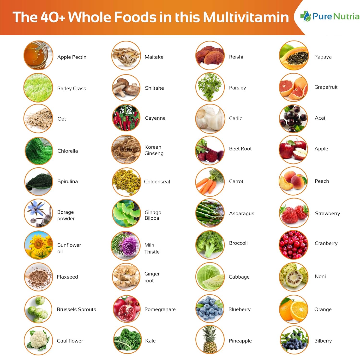 Whole Food MultiVitamin and Minerals with Probiotic Enzymes - 120 Multivitamins for Women and Men - Packed with WholeFood and Herbal Ingredients - Powerful Antioxidants for Digestive Support: Health & Personal Care