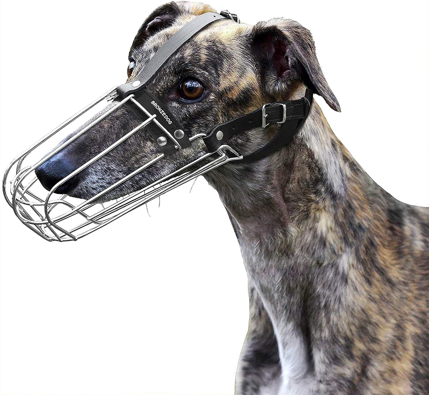 greyhound basket muzzle
