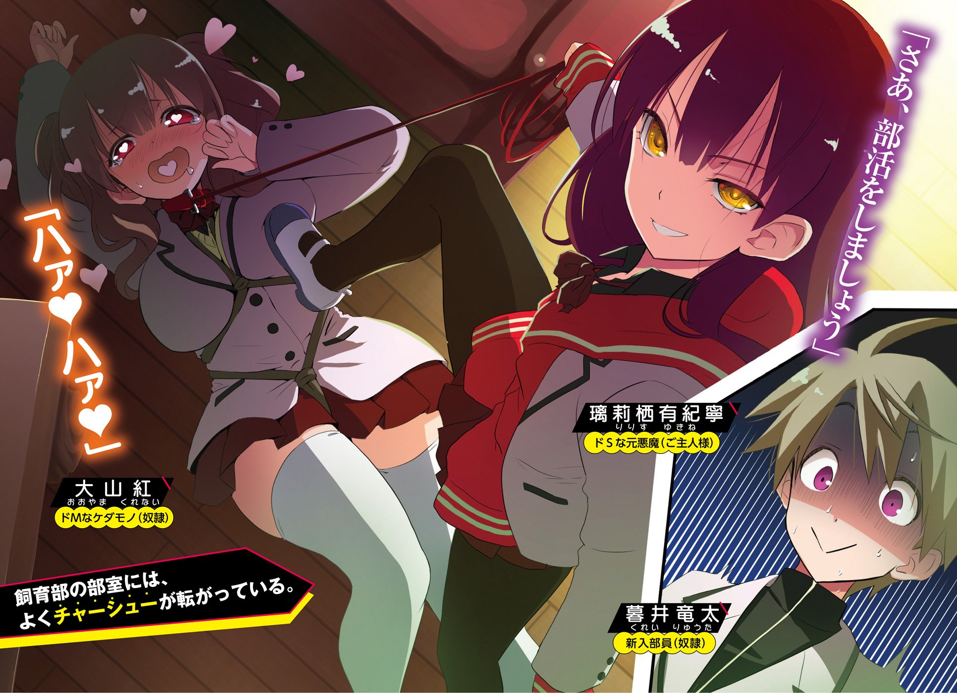 もののけスレイブ 1 ドsな元悪魔とドmでケダモノな彼女達に出会って僕の青春が穢されていく オーバーラップ文庫 Amazon Co Uk Books