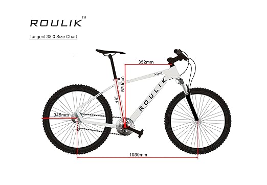 roulik avalanche 38.0