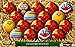 Easter Eggztravaganza