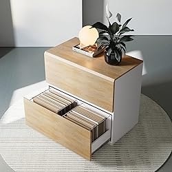 ModernMate 2 Drawer Lateral File Cabinet, Filing