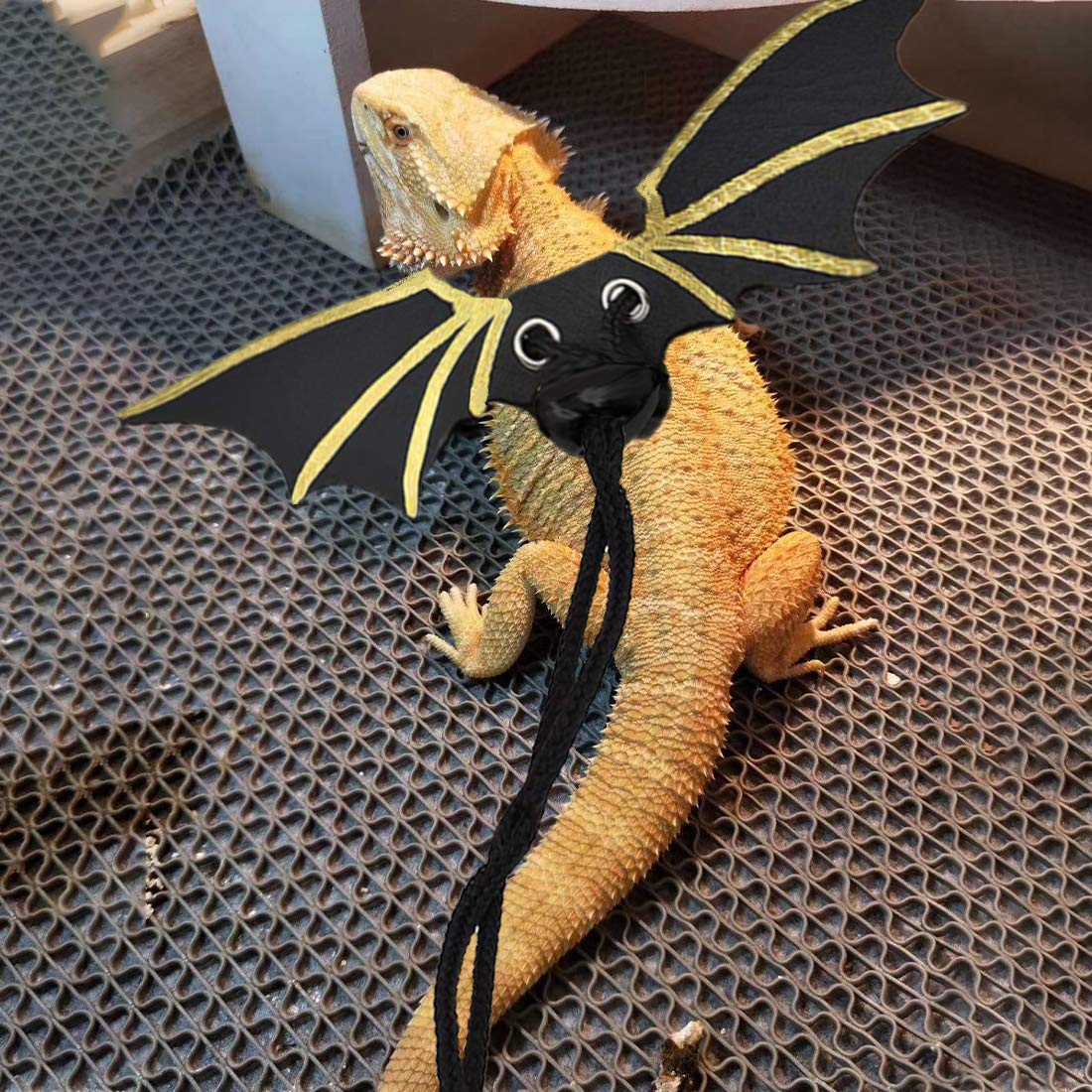 gecko leash