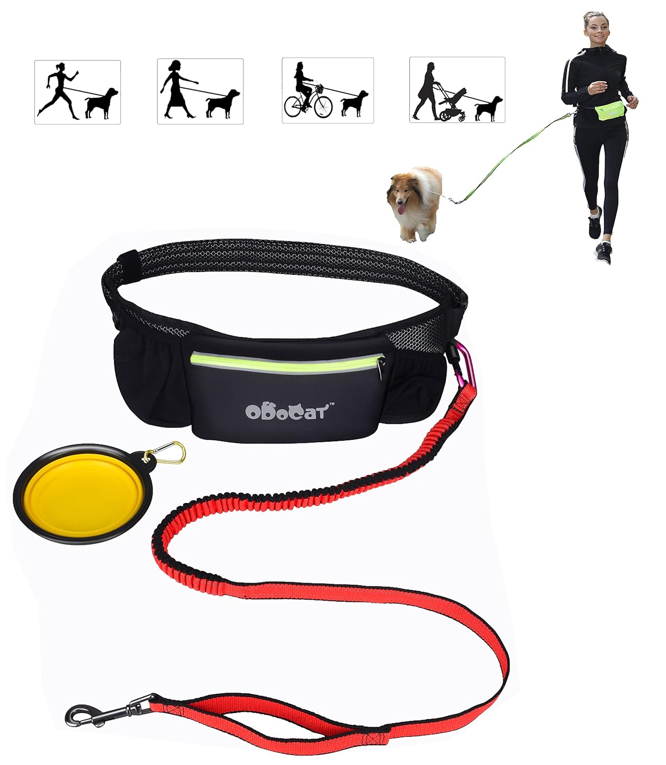 the buddy system leash
