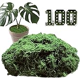 3.53oz Fake Green Moss for Potted Plants, Artificial Faux Moss for Crafts, DIY Decor, Fairy Gardens, Table Centerpieces, Wedding & Home Decor (100g Dark Green)