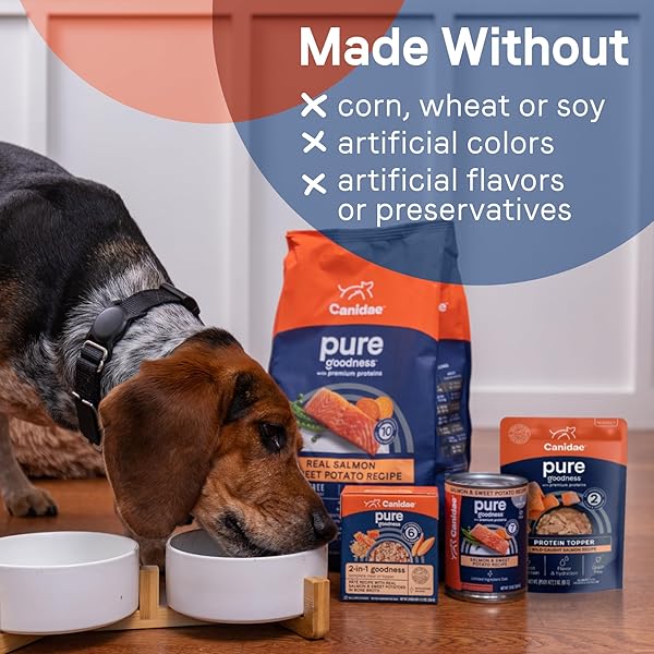 CANIDAE PURE PROTEIN TOPPER WET DOG FOOD – WILD-CAUGHT SALMON RECIPE IN GRAVY, 3 OZ. (CASE OF 12)