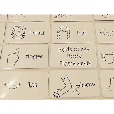 29 Laminated Black and White Preschool Parts of Body Philippines | Ubuy